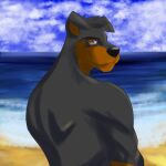  anthro black_body black_fur brown_body brown_fur canid canine canis domestic_dog fur hi_res james_jaguar14 looking_at_viewer male mammal mastiff molosser nelvy_(del) rottweiler solo 