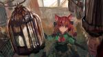  1girl :3 animal_ears bird bow braid cage cat_ears dress from_above green_dress hair_bow indoors kaenbyou_rin onion_(onion_and_pi-natto) red_eyes red_hair solo touhou twin_braids 