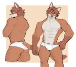  2022 abs anthro big_muscles border briefs bulge butt canid canine clothed clothing eyebrows eyewear fox fur glasses hair hi_res jrjresq looking_at_viewer male mammal muscular muscular_anthro muscular_male navel nipples obliques pecs pink_background simple_background smile solo standing tighty_whities topless topless_anthro topless_male tuft underwear white_border white_briefs white_clothing white_underwear 