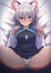  1girl absurdres animal_ear_fluff animal_ears bangs blush breasts cameltoe commentary_request cowboy_shot crystal darumoon dress grey_dress grey_hair highres jewelry long_sleeves looking_at_viewer lying medium_breasts mouse_ears mouse_girl nazrin on_back on_bed open_mouth panties pendant pussy_juice red_eyes shirt short_hair solo touhou underwear white_panties white_shirt 