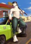  anthro bulge car clothing equid equine feathering fetlocks fur hi_res hooves horse looking_at_viewer male mammal mane mechanic muscular muscular_male outside pecs rag satanic_monkey scotch_macmanus shirtless shirtless_male sky solo standing tools underwear unzipped unzipped_pants vehicle wheel wrench 