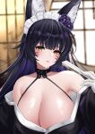  1girl :p animal_ear_fluff animal_ears azur_lane bangs bare_shoulders black_choker black_hair black_kimono blurry blurry_background breasts choker cleavage commentary_request facial_mark flower folding_fan fox_ears frilled_hairband frills gloves hair_flower hair_ornament hairband hand_fan highres hokkaidonder holding holding_fan indoors japanese_clothes kimono large_breasts long_hair looking_at_viewer musashi_(azur_lane) off_shoulder purple_flower purple_rose rose solo tongue tongue_out upper_body whisker_markings white_gloves yellow_eyes 
