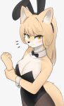  2022 5_fingers anthro big_breasts black_nose blush bow_tie breasts bunny_costume canid canine cleavage clothed clothing costume countershading digital_media_(artwork) emanata fake_ears fake_rabbit_ears female female_anthro fingers fox fur hair hi_res kemono korfiorano legwear leotard looking_at_viewer mammal multicolored_body multicolored_fur portrait rebekah shirt_collar shirt_cuffs solo stockings tan_body tan_fur tan_hair three-quarter_portrait two_tone_body two_tone_fur white_body white_fur yellow_eyes 