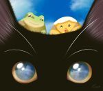  animal_focus black_cat black_fur blue_sky cat fantasy frog hachiya_shohei highres no_humans original scenery sky yellow_eyes 