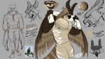  2022 absurd_res accipitrid accipitriform anthro anthrofied avian beak biped bird bodily_fluids bottomwear brown_body brown_feathers clothed clothing digital_media_(artwork) english_text feather_hair feathered_wings feathers featureless_crotch front_view hi_res hoodie humanoid male model_sheet multicolored_body multicolored_feathers multiple_angles muscular muscular_anthro muscular_male nipples nude open_beak open_mouth pants pecs pseudo_hair shirtless side_view signature simple_background solo standing sweat symbol tail_feathers text topwear towel towel_around_neck vanadiumvalor white_background winged_arms wings yellow_eyes 