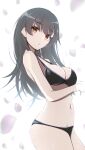  1girl absurdres black_hair breasts brown_eyes cleavage commentary_request contrapposto cowboy_shot hayashio_(kancolle) highres honma_(honmatomohiro) kantai_collection long_hair looking_at_viewer medium_breasts navel petals solo standing underwear underwear_only 