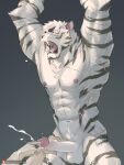  2021 abs anthro arknights balls biceps black_stripes bodily_fluids cum disembodied_hand ejaculation felid fur genital_fluids genitals hair hands_above_head hi_res humanoid_genitalia hypergryph male mammal mountain_(arknights) muscular muscular_anthro muscular_male navel nipples nude obliques orgasm pantherine pecs penis pngx_(artist) portrait pubes questionable_consent restrained scar serratus shocked short_hair simple_background solo standing stripes studio_montagne three-quarter_portrait tiger urethral video_games white_body white_fur 