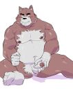  2022 anthro balls belly blush canid canine canis domestic_dog erection feet genitals hi_res humanoid_genitalia humanoid_hands humanoid_penis kemono male mammal moobs navel nipples overweight overweight_male penis simple_background sitting solo ujishiyo 