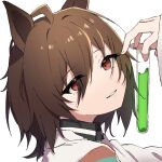  1girl agnes_tachyon_(umamusume) ahoge animal_ears brown_eyes brown_hair eyelashes eyes_visible_through_hair hair_between_eyes hair_strand horse_ears horse_girl labcoat light_smile looking_at_viewer luca_(luca_0520) messy_hair short_hair solo test_tube umamusume 