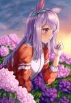  1girl absurdres animal_ears aqua_bow bow ear_bow field flower flower_field flower_request futakaze_(yrmv7377) highres holding holding_hair horse_ears horse_girl jacket long_hair mejiro_mcqueen_(umamusume) outdoors purple_eyes purple_hair red_track_suit solo tracen_training_uniform track_jacket umamusume 