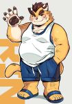 2022 absurd_res anthro bakedanooki blush bottomwear clothing felid footwear hi_res humanoid_hands kemono male mammal overweight overweight_male pantherine sandals shirt shorts solo tiger topwear 