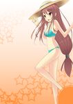  bikini blush brown_eyes brown_hair fei_chai_you_er hat long_hair ookami-san ookami_ryouko solo swimsuit 