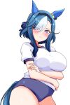  1girl absurdres admire_groove_(umamusume) animal_ears arms_under_breasts black_hairband blue_buruma blue_tail blush braid breasts buruma closed_mouth commentary_request ear_covers eyes_visible_through_hair gym_shirt hair_over_one_eye hairband half_up_braid highres horse_ears horse_girl horse_tail large_breasts long_sleeves looking_at_viewer mole mole_under_mouth multicolored_hair puffy_long_sleeves puffy_sleeves purple_eyes renny_(seraphyfether) shirt short_hair short_hair_with_long_locks short_sleeves sidelocks simple_background solo streaked_hair tail thighs umamusume v-shaped_eyebrows white_background white_hair white_shirt 