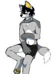  3:4 anthro asnnonaka black_bottomwear black_clothing black_hair black_underwear bottomwear canid clothed clothing elbow_tuft front_view fur grey_body grey_fur hair hi_res male mammal mouth_closed navel shoulder_tuft simple_background simple_eyes sitting solo topless tuft underwear unsigned wavy_mouth white_background white_body white_fur 