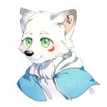  1:1 2017 anthro asnnonaka blue_clothing blue_topwear bust_portrait canid canine closed_smile clothed clothing dated ear_piercing facial_markings fox front_view fur glistening glistening_eyes green_eyes green_pupils head_markings head_tuft male mammal markings mouth_closed piercing portrait pupils simple_background solo topwear tuft white_background white_body white_fur 