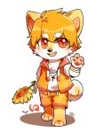  anthro armband asnnonaka bottomwear canid canine canis chibi clothed clothing domestic_dog flower front_view full-length_portrait fur glistening glistening_eyes hair holding_flower holding_object male mammal open_mouth open_smile orange_body orange_bottomwear orange_clothing orange_fur orange_hair orange_pants orange_topwear pants plant portrait pupils red_eyes red_pupils shadow shiba_inu shirt simple_background smile solo spitz standing t-shirt topwear white_background white_body white_clothing white_fur white_shirt white_t-shirt white_topwear 