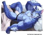  anthro blue_body blue_fur bulge canid canine canis clothing fur jockstrap kamyuelo lifewonders looking_at_viewer male mammal muscular muscular_anthro muscular_male nipples solo tindalos_(tas) tokyo_afterschool_summoners underwear video_games wolf 