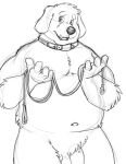  2022 anthro balls belly bravo canid canine canis collar domestic_dog genitals hi_res humanoid_hands leash male mammal navel overweight overweight_male penis simple_background sketch solo 