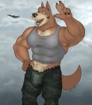  2022 absurd_res aircraft airplane anthro armpit_hair army biceps biped body_hair bottomwear brown_body brown_fur bulge camo camo_bottomwear camo_clothing camo_pants camo_print canid canine canis clothed clothing cloud digital_media_(artwork) domestic_dog fleshformomo fully_clothed fur headphones hi_res male mammal muscular muscular_anthro muscular_male one_eye_closed open_mouth open_smile pants pattern_bottomwear pattern_clothing pattern_pants pecs pinup pose shiba_inu shirt smile solo spitz tan_body tan_fur tank_top teeth tongue topwear wink 