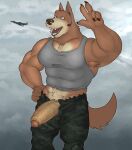  2022 absurd_res aircraft airplane anthro armpit_hair army balls_outline biceps biped body_hair bottomwear brown_body brown_fur bulge camo camo_bottomwear camo_clothing camo_pants camo_print canid canine canis clothed clothing cloud digital_media_(artwork) domestic_dog erection fleshformomo foreskin fully_clothed fur genital_outline genitals glans headphones hi_res humanoid_genitalia humanoid_penis male mammal muscular muscular_anthro muscular_male open_bottomwear open_clothing open_mouth open_pants open_smile pants pattern_bottomwear pattern_clothing pattern_pants pecs penis pinup pose shiba_inu shirt smile solo spitz tan_body tan_fur tank_top teeth tongue topwear vein veiny_penis 