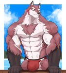  abs anatake anthro biceps big_muscles bulge canid canine canis chest_tuft clothing countershade_torso countershading detailed_bulge fur hi_res huge_muscles male mammal muscular muscular_anthro muscular_male nipples pecs red_body red_clothing red_fur red_thong red_underwear sky solo thong tuft underwear veiny_muscles wolf 