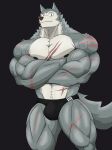  anatake anthro biceps big_muscles black_background black_clothing black_thong black_underwear bulge canid canine canis clothing countershade_torso countershading fluffy fluffy_tail fur grey_body grey_fur hi_res huge_muscles looking_at_viewer male mammal muscular muscular_anthro muscular_male nipples pecs quads scar simple_background solo thong underwear veiny_muscles wolf 