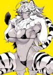  1girl ahoge animal_ears animal_hands animal_print areola_slip bikini breasts copyright_request highres large_breasts long_hair looking_at_viewer monochrome simple_background solo squatting swimsuit tail takatsuki_ichi thighs tiger_ears tiger_print tiger_tail yellow_background 