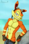  5_fingers abs anthro athletic beach daxter fingers jak_and_daxter male mammal mustelid naughty_dog ottsel sandblastcoyote seaside solo sony_corporation sony_interactive_entertainment video_games 