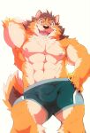  abs absurd_res anthro barrel_(live-a-hero) brown_body brown_fur bulge canid canine canis clothing fur heylaw21 hi_res lifewonders live-a-hero looking_at_viewer male mammal muscular muscular_anthro muscular_male nipples pecs solo underwear video_games wolf 