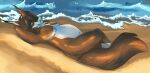  anthro beach breasts canid canine exposed_breasts female kilariel mammal nipples nude seaside solo solo_focus 