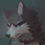  1:1 anthro awaldkize blue_eyes bust_portrait canid cheek_tuft collar facial_tuft fur glistening glistening_eyes grey_body grey_ears grey_fur grey_nose hi_res inner_ear_fluff looking_at_viewer male mammal narrowed_eyes neck_tuft portrait red_collar simple_background solo teeth tuft unsigned white_body white_fur white_inner_ear white_inner_ear_fluff 