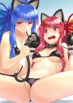  2girls anal_tail animal_ears animal_hands bangs bare_arms bare_shoulders bikini bikini_aside black_bikini black_hairband blue_hair blush breasts brown_collar butt_plug cat_ears cat_paws cat_tail censored cleavage closed_mouth clothing_aside collar collarbone covered_nipples fake_animal_ears fake_tail fingernails furrowed_brow gloves gradient gradient_background hair_ornament hairband hands_up highres holding kotonoha_akane kotonoha_aoi kurione_(zassou) long_hair mosaic_censoring multiple_girls navel open_mouth paw_gloves pink_eyes pink_hair pussy sex_toy siblings sidelocks sisters small_breasts smile spread_legs sweat swimsuit tail tears teeth underboob voiceroid 