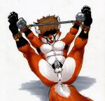  2008 anthro anus ball_gag balls bdsm blindfold bondage bound canid canine chastity_device cuff_(restraint) fox gag genitals lock lying male mammal neoneon on_back restraints solo spread_legs spreader_bar spreading wrist_cuffs 