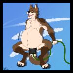 2022 4_fingers 5_fingers anthro belly belly_expansion belly_inflation black_nose bloated blue_background brown_body brown_fur canid canine canis claws clothing coyote cream_belly crouching expansion fangs fig_(gt_grackle) fingers fur gt_grackle hi_res holding_hose hose_in_butt hose_inflation inflation liquid_inflation looking_at_belly looking_down looking_down_at_self male mammal motion_lines navel onomatopoeia open_mouth orange_eyes pink_tongue signature simple_background sloshing_belly solo sound_effects teeth text tongue underwear 