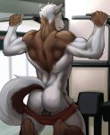  anthro assisted_exposure back_muscles backsack balls biceps bottomwear butt canid canine canis clothed clothing dioni5 exercise genitals hi_res looking_back male mammal muscular muscular_anthro muscular_male pantsing partially_clothed pullups rear_view shorts shorts_down solo surprise wardrobe_malfunction wolf workout 