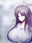  antenna_hair breasts eira eira_(jcdr) green_eyes highres huge_breasts jcdr large_breasts original pointy_ears purple_hair simple_background 