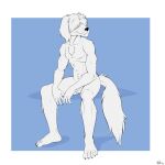  1:1 2022 anthro beastars canid canine canis chest_tuft claws collot_(beastars) covered_eyes crotch_tuft domestic_dog ears_down fur head_turned herding_dog hi_res jimfoxx male mammal nude pastoral_dog pivoted_ears sheepdog sitting solo spread_legs spreading toe_claws tuft white_body white_fur 