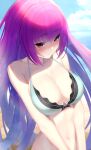  1girl absurdres beach bikini blue_sky blush breasts cleavage cloud cloudy_sky fate/grand_order fate_(series) green_bikini highres horizon large_breasts looking_at_viewer navel purple_hair red_eyes sand scathach_(fate) scathach_skadi_(swimsuit_ruler)_(fate) scathach_skadi_(swimsuit_ruler)_(final_ascension)_(fate) sky swimsuit two-tone_bikini type-e.v.e 