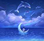  1boy cloud crescent_moon dolphin flying_animal guiyi_tonghua highres moon night night_sky ocean original outdoors scenery shooting_star sky star_(sky) starry_sky surreal water 