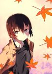  1girl absurdres androgynous autumn brown_coat brown_hair coat expressionless eyes_in_shadow falling_leaves grey_eyes hair_between_eyes highres kino_(kino_no_tabi) kino_no_tabi leaf maple_leaf short_hair solo tomboy tomurasuisen 