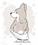  anthro butt butt_heart canid canine canis corgi_(artist) dogs_in_space domestic_dog dot_eyes drying drying_body drying_butt drying_fur fur garbage_(dogs_in_space) herding_dog male mammal pastoral_dog shower solo towel welsh_corgi wet wet_body 