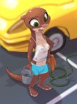  2022 absurd_res anthro breasts brown_body brown_fur car clothing disney female fur green_eyes hi_res hose lutrine mammal midriff mrs._otterton mustelid navel nipple_outline open_mouth siroc solo vehicle water wet wet_clothing zootopia 