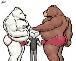 alanottaviano anthro barazoku belly brown_bear brown_body brown_fur duo fur hi_res male male/male mammal musclegut muscular muscular_male overweight overweight_male polar_bear slightly_chubby solo ursid ursine white_body 
