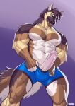  2022 abs absurd_res anthro blue_eyes bulge canid canine canis clothing domestic_dog erection genitals german_shepherd herding_dog hi_res humanoid_genitalia humanoid_penis looking_at_viewer male mammal muscular muscular_anthro muscular_male nipples pastoral_dog pecs penis raythefox simple_background solo underwear 