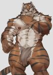  abs absurd_res adios anthro balls clothing felid fur genitals hi_res looking_at_viewer male mammal muscular nipples orange_body orange_fur pantherine pecs pubes tiger underwear white_body white_fur 