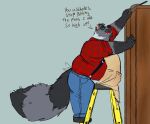  5_fingers anthro apron belly belly_on_ladder_meme big_tail blue_bottomwear blue_clothing blue_eyes blue_pants bottomwear claws clothing cooking_pot denim denim_clothing dialogue english_text eyewear fingers flannel_shirt fluffy fluffy_tail fur glasses green_background grey_body grey_fur hi_res jeans kyreden ladder male mammal markings open_mouth overweight overweight_anthro overweight_male pants pattern_clothing pattern_shirt pattern_topwear pink_inner_ear plaid plaid_clothing plaid_shirt plaid_topwear procyonid raccoon reaching shirt simple_background solo standing striped_markings striped_tail stripes suspenders tail_markings teeth text topwear 