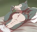  2022 absurd_res anthro beastars bed bedroom bottomwear canid canine canis clothing furniture hi_res human larger_male legoshi_(beastars) licking male mammal micro netflix nude pillow size_difference smaller_male teeth tommysamash tongue tongue_out wall_(structure) white_bottomwear white_clothing wolf 