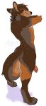  anthro black_claws black_nose brown_body brown_fur brown_hair brown_tail butt canid claws elbow_tuft erection eyes_closed finger_claws full-length_portrait fur genitals glistening glistening_hair grey_body grey_fur grey_tail hair hi_res male mammal neck_tuft nude orange_body orange_fur penis portrait pupbii red_penis signature simple_background smile solo standing tan_tail three-quarter_view toe_claws tuft white_background 
