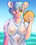  absurd_res african_wild_dog anthro beach bodily_fluids breasts canid canine clothing female food genital_fluids hannah_(mucdraco) hi_res humanoid mammal mucdraco seaside solo translucent urine wet wet_clothing wetting 