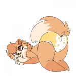  anthro big_eyes butt canid canine canis diaper domestic_dog female fluffy fluffy_tail hi_res katanagirl mammal marshmallow_(potato565) neck_tuft pacifier pomeranian presenting presenting_hindquarters solo spitz tuft 